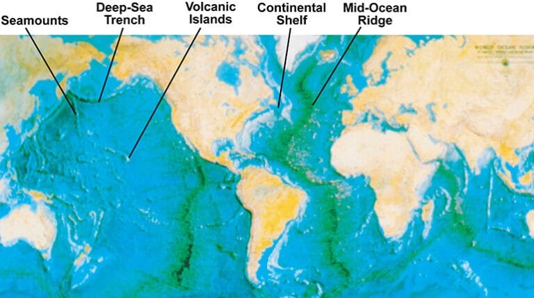 The Role of Plate Tectonics in a Global Flood